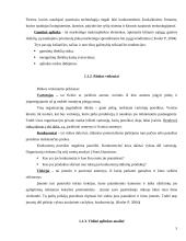 Marketingo veiklos strateginis planavimas: UAB "Liepa" 5 puslapis