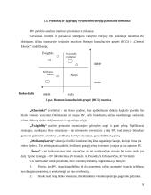 Marketingo veiklos strateginis planavimas: UAB "Liepa" 8 puslapis