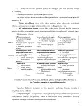 Marketingo veiklos strateginis planavimas: UAB "Liepa" 9 puslapis