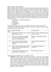 Masiniai miškų ir durpynų gaisrai