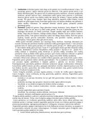 Masiniai miškų ir durpynų gaisrai 2 puslapis