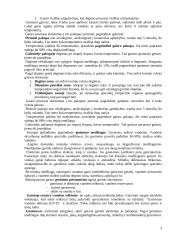 Masiniai miškų ir durpynų gaisrai 3 puslapis