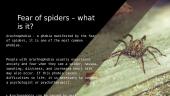 Fear of spiders and snakes 2 puslapis