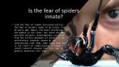 Fear of spiders and snakes 5 puslapis