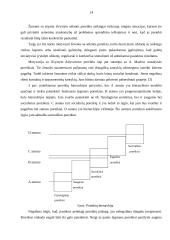 Maslow motyvavimo teorija 14 puslapis