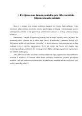 Maslow motyvavimo teorija 5 puslapis