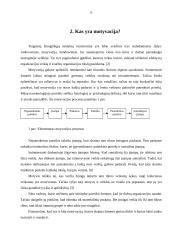 Maslow motyvavimo teorija 6 puslapis