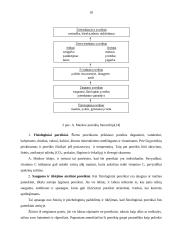 Maslow motyvavimo teorija 10 puslapis