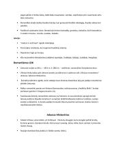 Romantizmas (XVIII-XIXa.) 2 puslapis