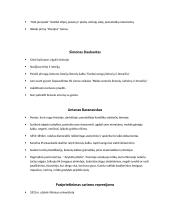 Romantizmas (XVIII-XIXa.) 3 puslapis