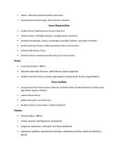 Romantizmas (XVIII-XIXa.) 4 puslapis