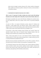 Mastrichto sutarties gairės 11 puslapis