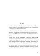 Mastrichto sutarties gairės 12 puslapis