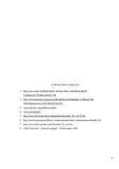 Mastrichto sutarties gairės 13 puslapis