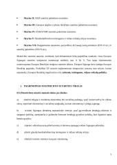 Mastrichto sutarties gairės 3 puslapis