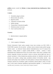 Mastrichto sutarties gairės 6 puslapis