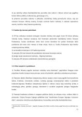 Mastrichto sutarties gairės 9 puslapis