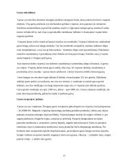 Klausos biofizika 12 puslapis