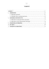 Materialinės atsakomybės logistikoje problemos 2 puslapis