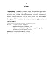 Materialinės atsakomybės logistikoje problemos 3 puslapis