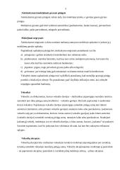 Materialinės atsakomybės logistikoje problemos 5 puslapis