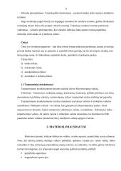 Materialinės atsakomybės logistikoje problemos 6 puslapis