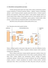 Materialinės atsakomybės logistikoje problemos 7 puslapis