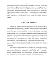 Materialinės atsakomybės logistikoje problemos 9 puslapis