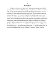 Materialinės atsakomybės logistikoje problemos 10 puslapis