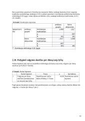 Statistikos projektas 13 puslapis