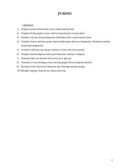 Statistikos projektas 2 puslapis