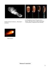 Mažieji Saulės sistemos kūnai 15 puslapis
