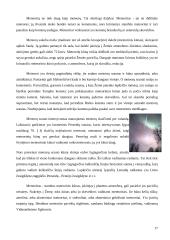 Mažieji Saulės sistemos kūnai 17 puslapis