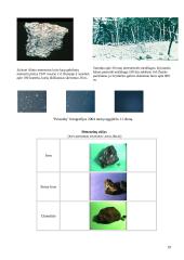 Mažieji Saulės sistemos kūnai 19 puslapis