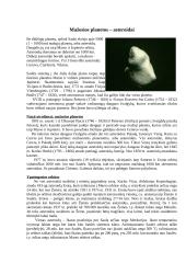 Mažieji Saulės sistemos kūnai bei jų kilmė 6 puslapis