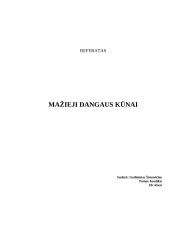 Mažieji Saulės sistemos kūnai bei jų kilmė 8 puslapis