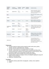 Leukocitai (baltieji kraujo kūneliai) ir natūrali organizmo gynyba 5 puslapis