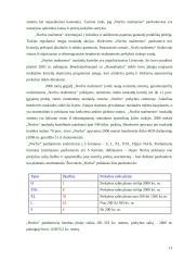 Mažmeninės prekybos įmonių vystymosi tendencijos 12 puslapis