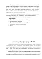 Mažmeninės prekybos įmonių vystymosi tendencijos 3 puslapis