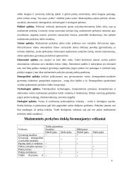 Mažmeninės prekybos įmonių vystymosi tendencijos 4 puslapis