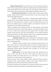 Mažmeninės prekybos įmonių vystymosi tendencijos 7 puslapis
