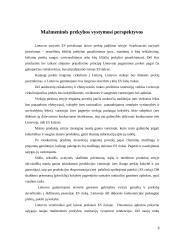 Mažmeninės prekybos įmonių vystymosi tendencijos 8 puslapis