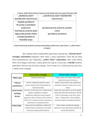 Mažmeninių tarpininkų klasifikacija 11 puslapis