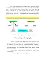 Mažmeninių tarpininkų klasifikacija 3 puslapis