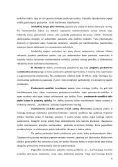Mažmeninių tarpininkų klasifikacija 8 puslapis