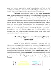Mažmeninių tarpininkų klasifikacija 9 puslapis