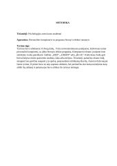 Stroop efekto tyrimas 2 puslapis