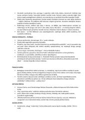 Autorių glaustas konspektas egzaminui 2 puslapis