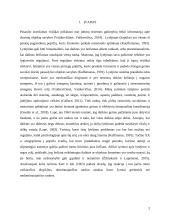 Monomanualinio ir bimanualinio lytėjimo palyginimas II