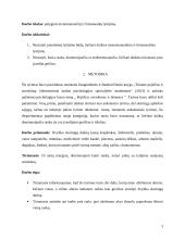 Monomanualinio ir bimanualinio lytėjimo palyginimas II 2 puslapis